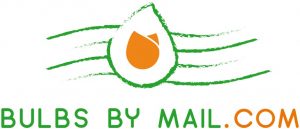 Bulbs by Mail
